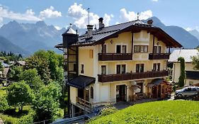 Stella Alpina
